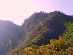 大别山