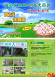药店单页