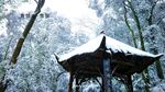 风雪青城山