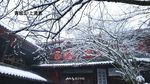 风雪青城山