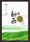 新茶上市
