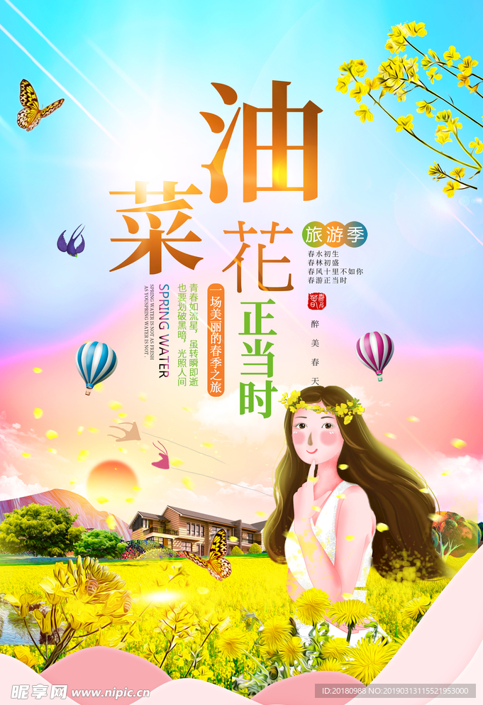 油菜花