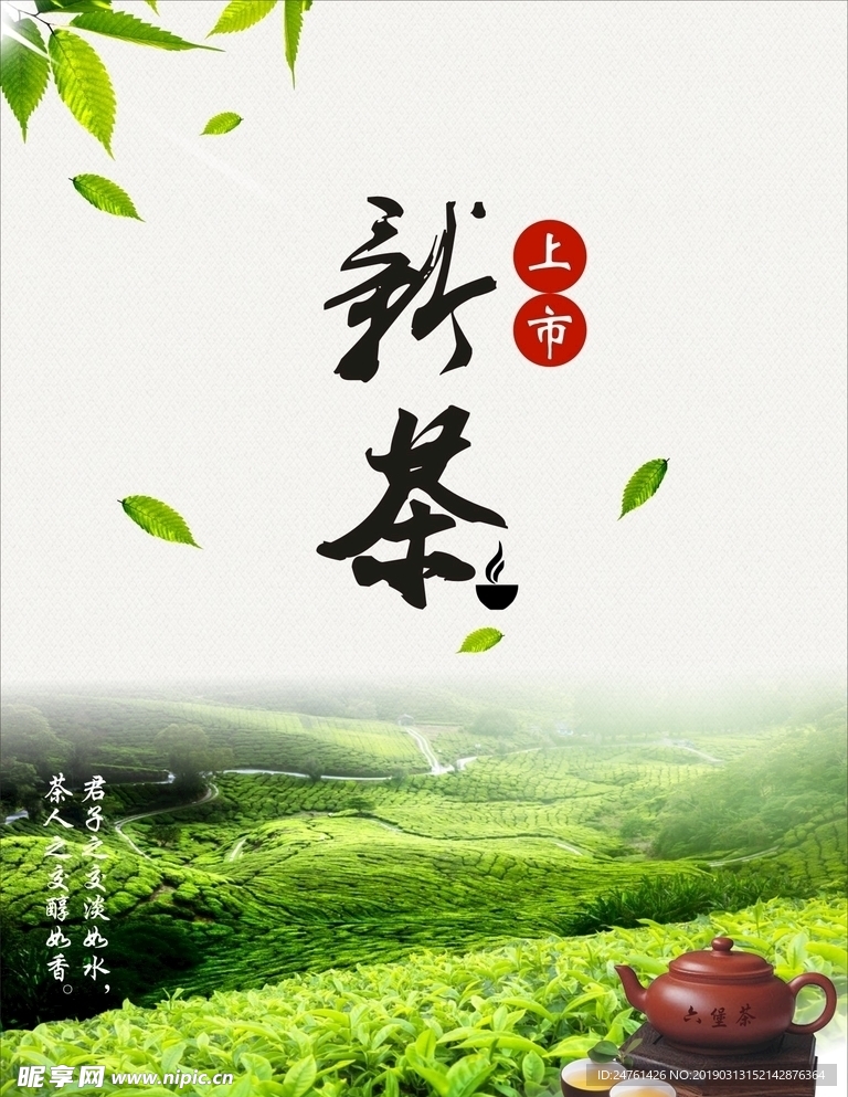 新茶上市