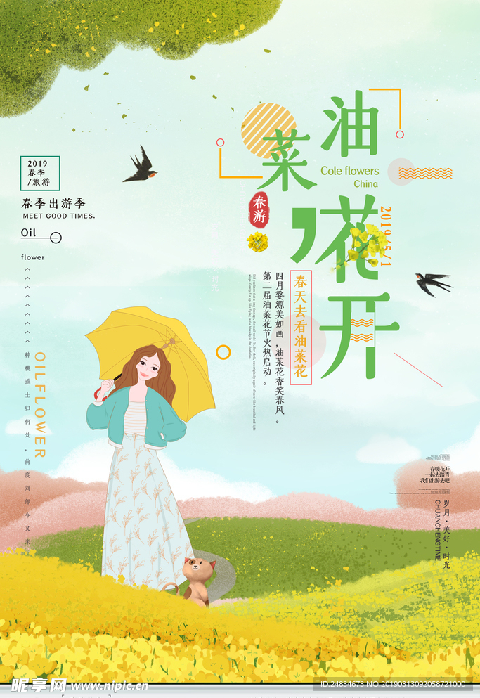 油菜花开