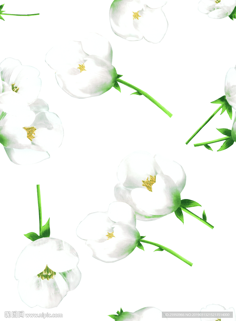 花枝