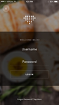 手机APP 搜索  输入 颜色