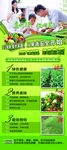 果蔬展架