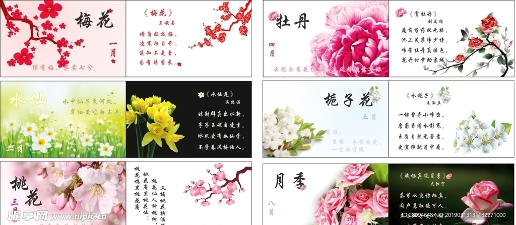 四季花卉