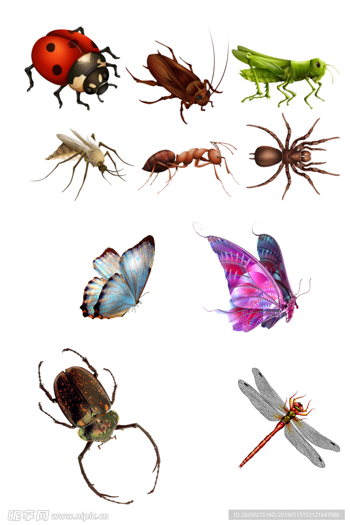 免抠图 透明化 各种昆虫