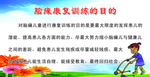 脑瘫康复训练的目的