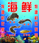 鲤鱼  黄花鱼 鲶鱼 海鲜