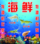 北极虾 大白虾 小青虾