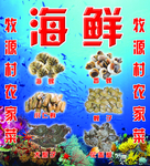 海鲜 香螺  螃蟹 蚬子 海鲜