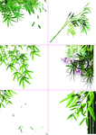 065竹子