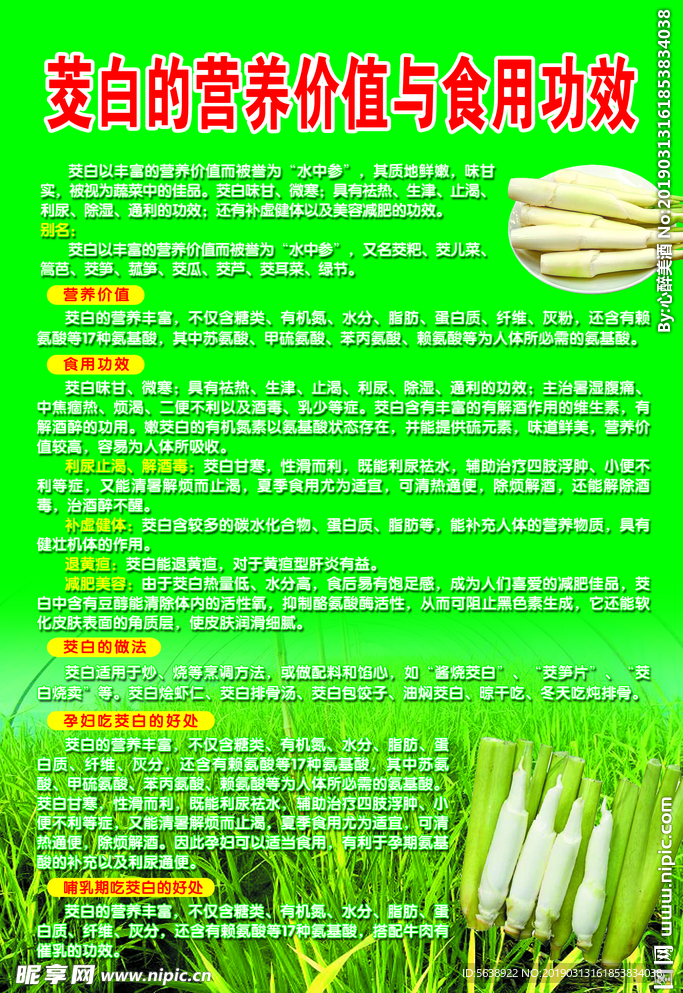 茭白的营养价值与食用功效