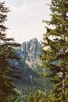 森林高山