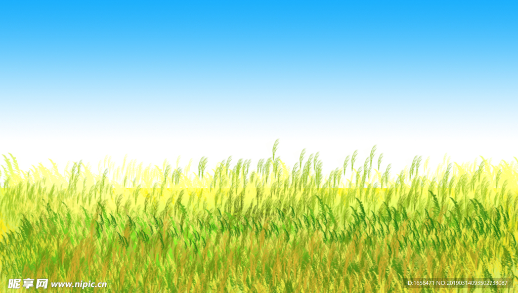 麦田