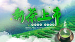 新茶上市