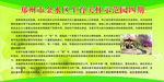 农家乐 生育关怀 示范园
