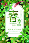 春季上新