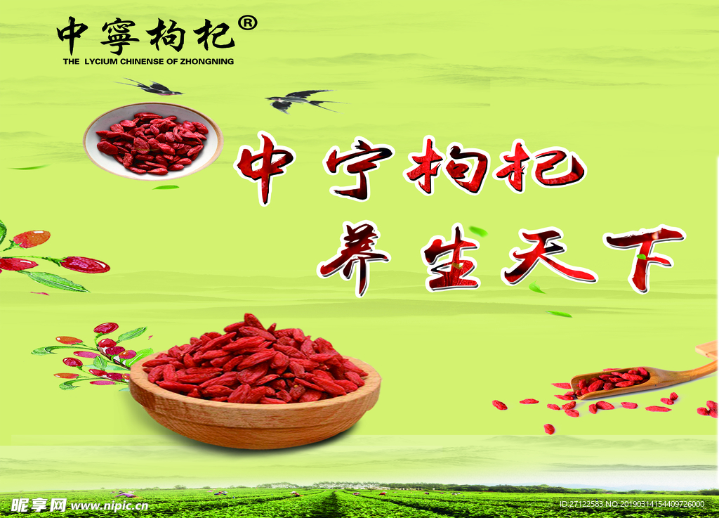 中宁枸杞养生天下