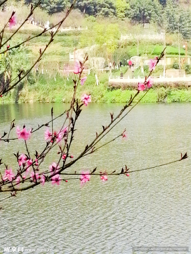 花