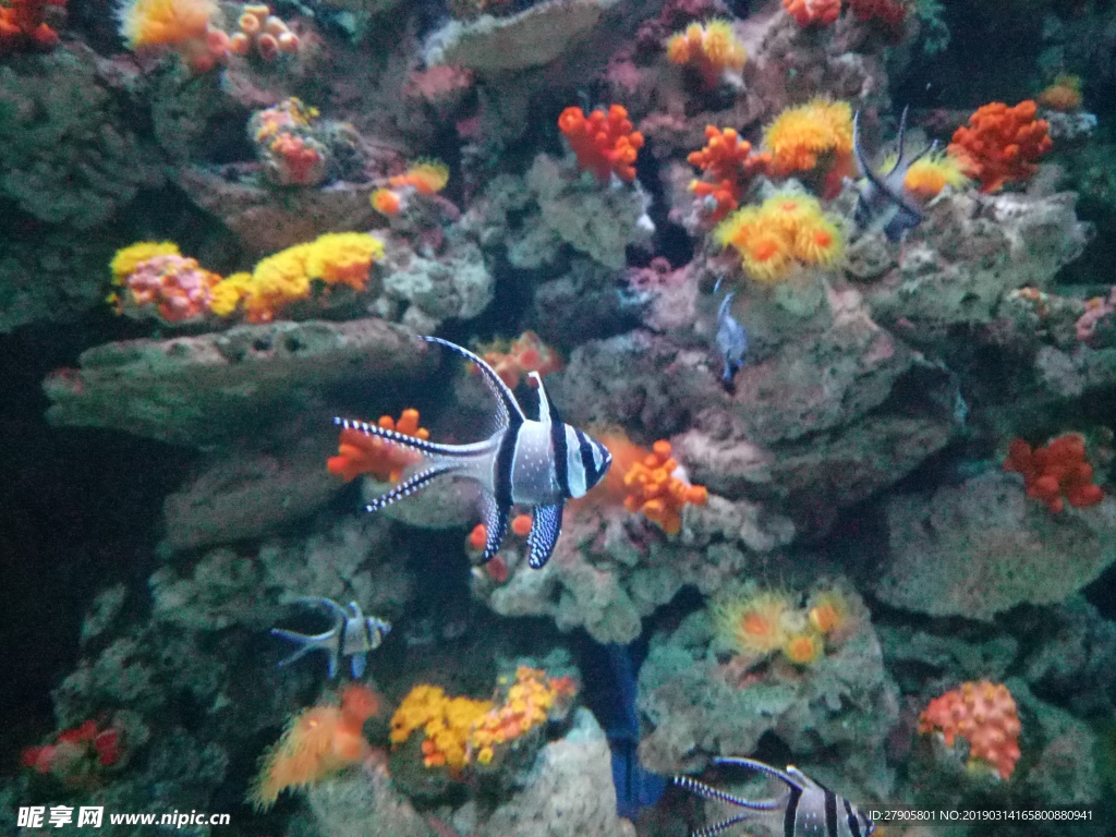 海底世界