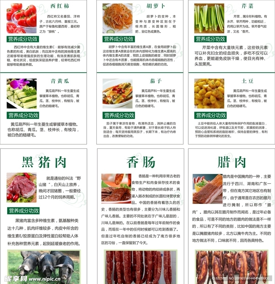 蔬菜展板绿色