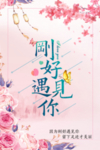 刚好遇见你海报
