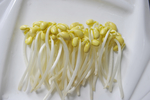 豆芽  芽菜  农业  食材