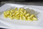 豆芽  芽菜  农业  食材