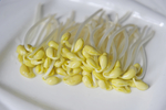 豆芽  芽菜  农业  食材