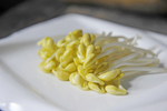 豆芽  芽菜  农业  食材