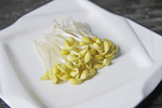 豆芽  芽菜  农业  食材