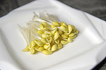 豆芽  芽菜  农业  食材