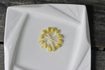 豆芽  芽菜  农业  食材