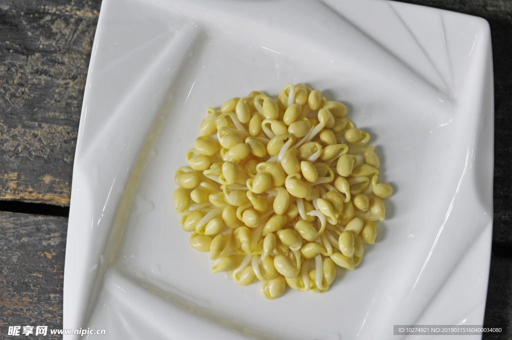 豆芽  芽菜  农业  食材