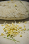 豆芽  芽菜  农业  食材