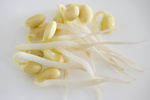 豆芽  芽菜  农业  食材