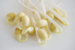 豆芽  芽菜  农业  食材
