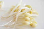 豆芽