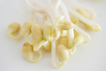 豆芽