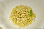 豆芽