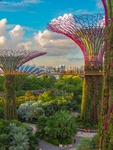 风景