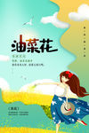 油菜花