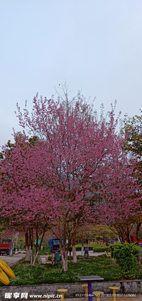 江城 广场 公园