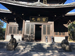 公园  复古 茶马古城 思茅
