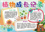 植物成长小报
