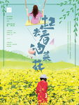 油菜花