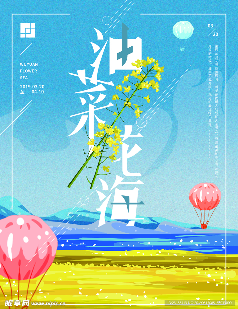 油菜花
